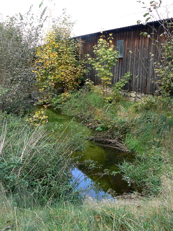 Der Fluss Lamitz in Niederlamitz