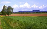 Kornberg