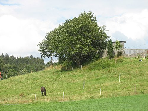 Oberpfalz am 22.7.2007