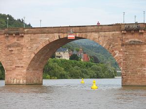 Neckar bei Heidelberg