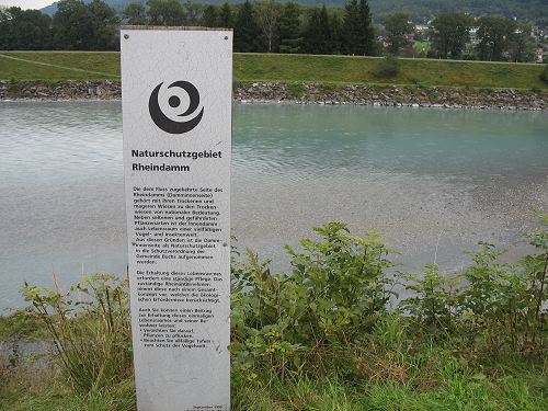 Naturschutzgebiet Rheindamm