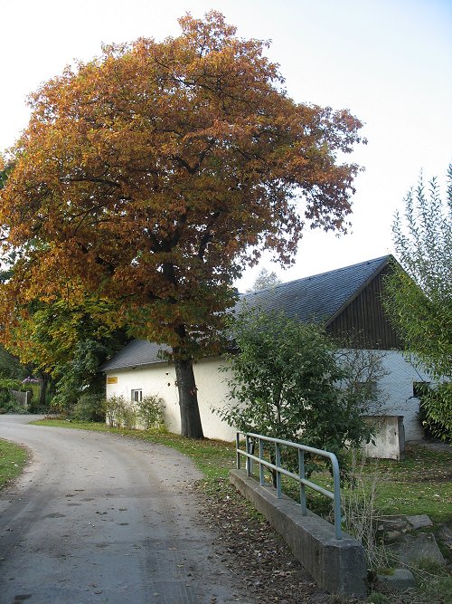 Schnepfenmühle