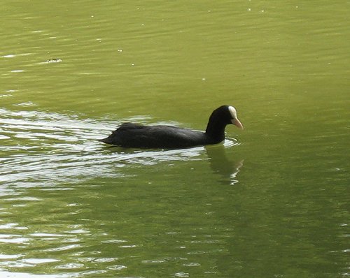 Park Schönbusch