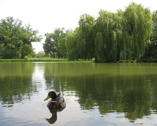 Park Schönbusch