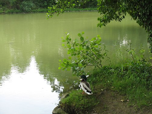 Park Schönbusch