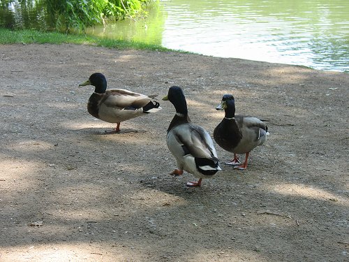 Park Schönbusch