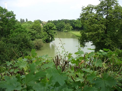 Park Schönbusch