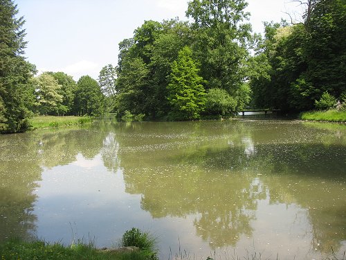 Park Schönbusch