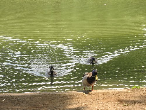 Park Schönbusch