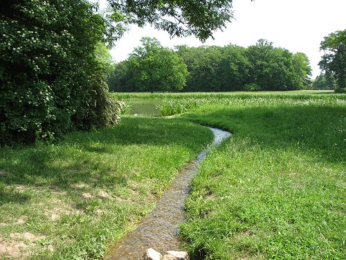 Park Schönbusch