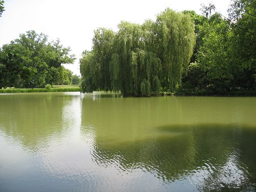 Park Schönbusch