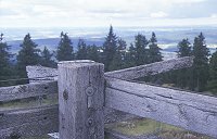 Schneeberg - Back�fele