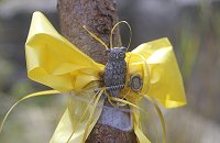 Schneeberg - Yellow Ribbon