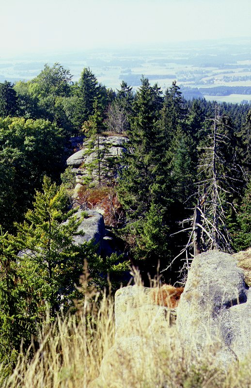 Waldstein - Felsformationen im Gipfelbereich