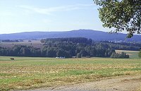 Waldstein