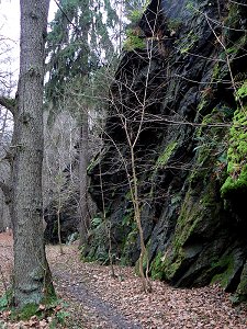 Geotop Gsteinigt bei Arzberg im Fichtelgebirge