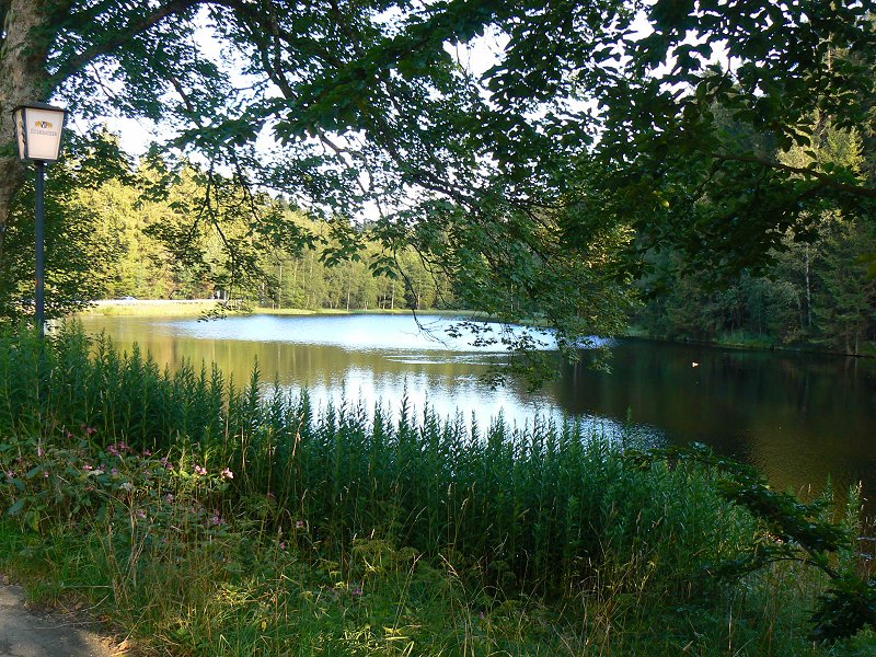 Der Karches-See oder Karches-Weiher im Fichtelgebirge