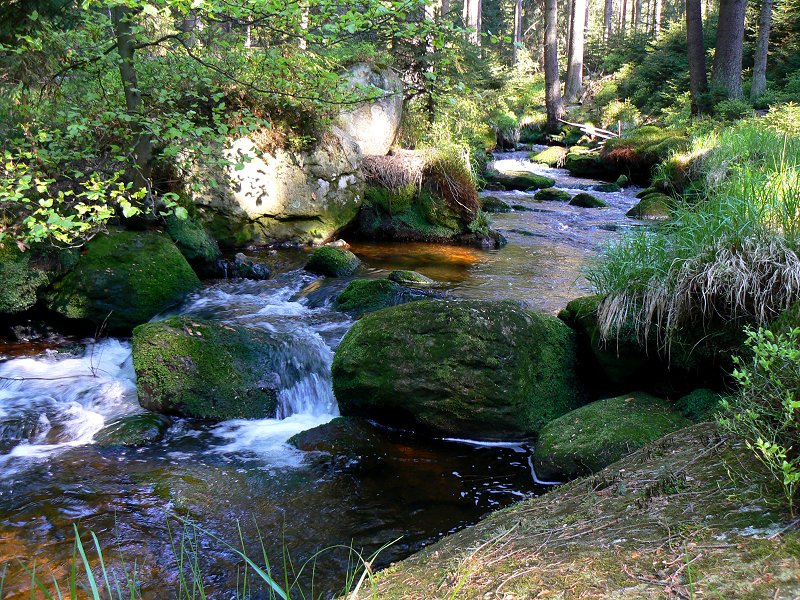 Das Weißmaintal bei Bischofsgrün