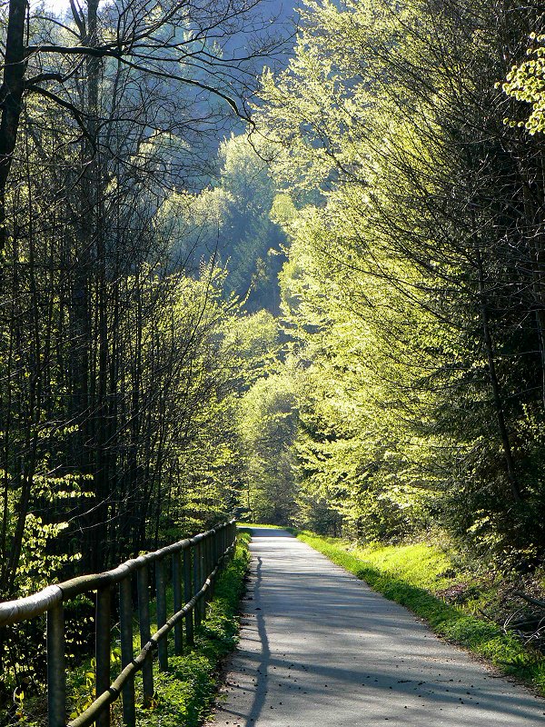 Fahrradweg von Röhrenhof nach Bischofsgrün