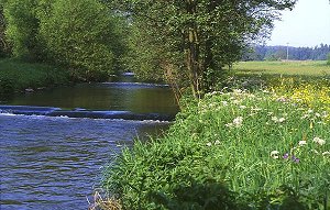 The River Eger