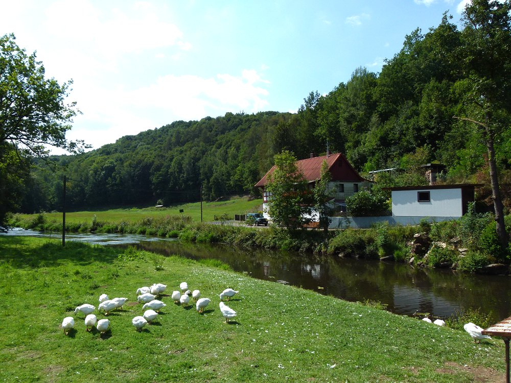 Das Confinhaus bei Hohenberg