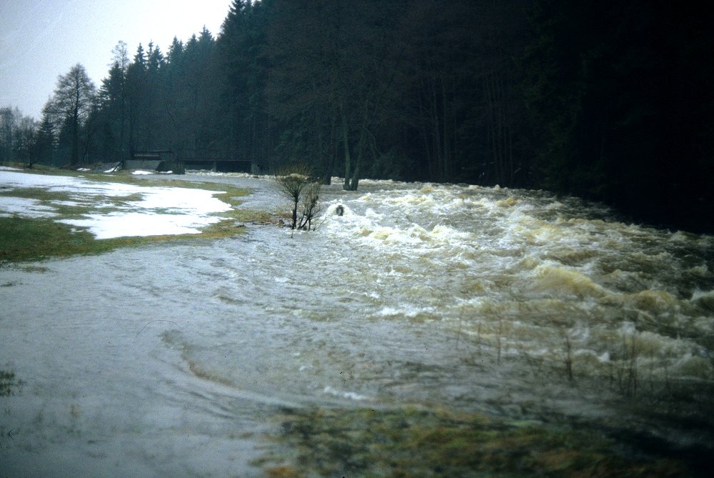 Die Eger bei Neumühle im Fichtelgebirge