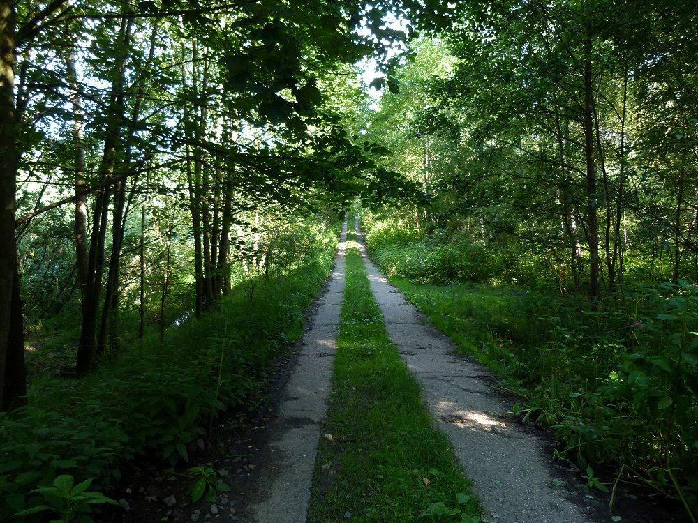 Grenzweg oder Kolonnenweg aus Betonelementen