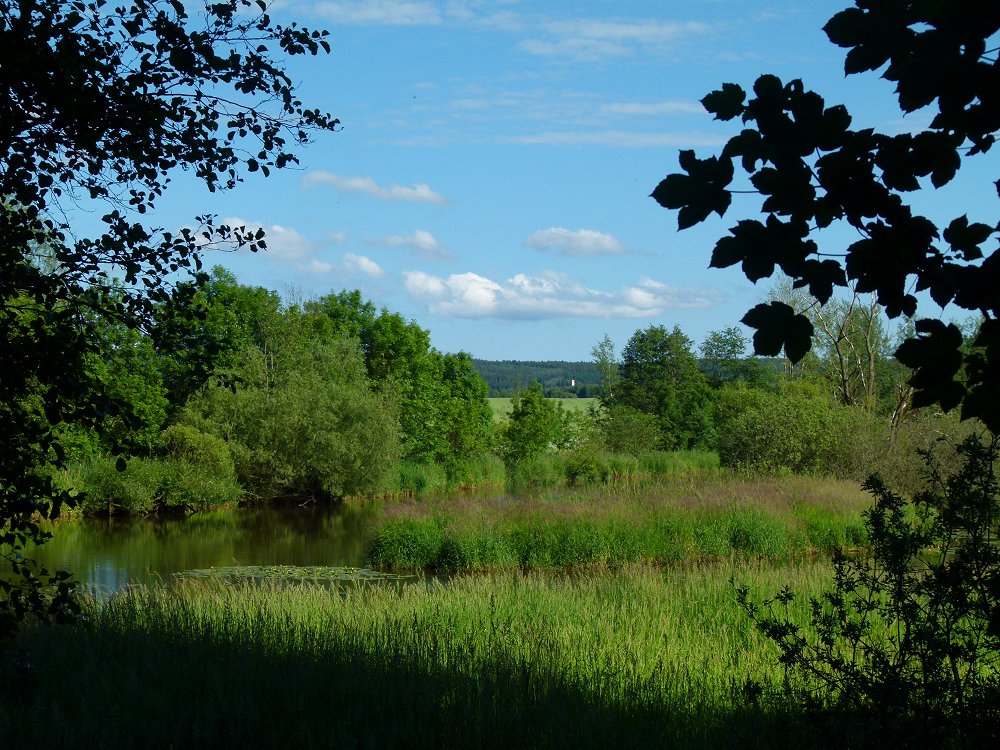 Naturschutzgebiet bei Hohenberg an der Eger