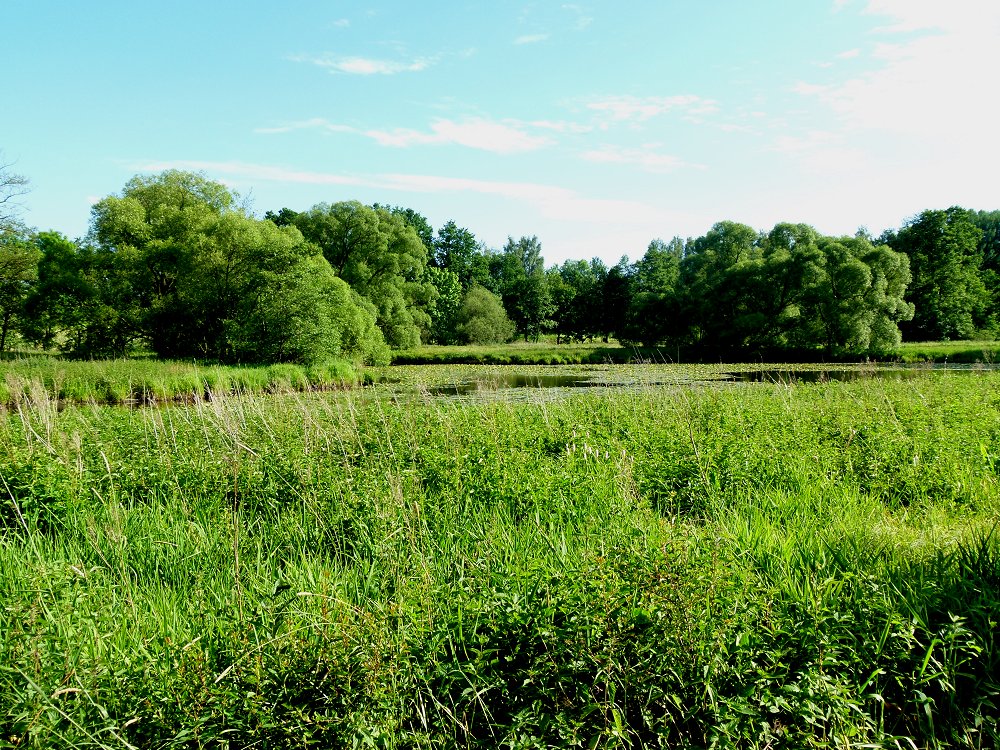 Naturschutzgebiet Rathsam bei Hohenberg an der Eger