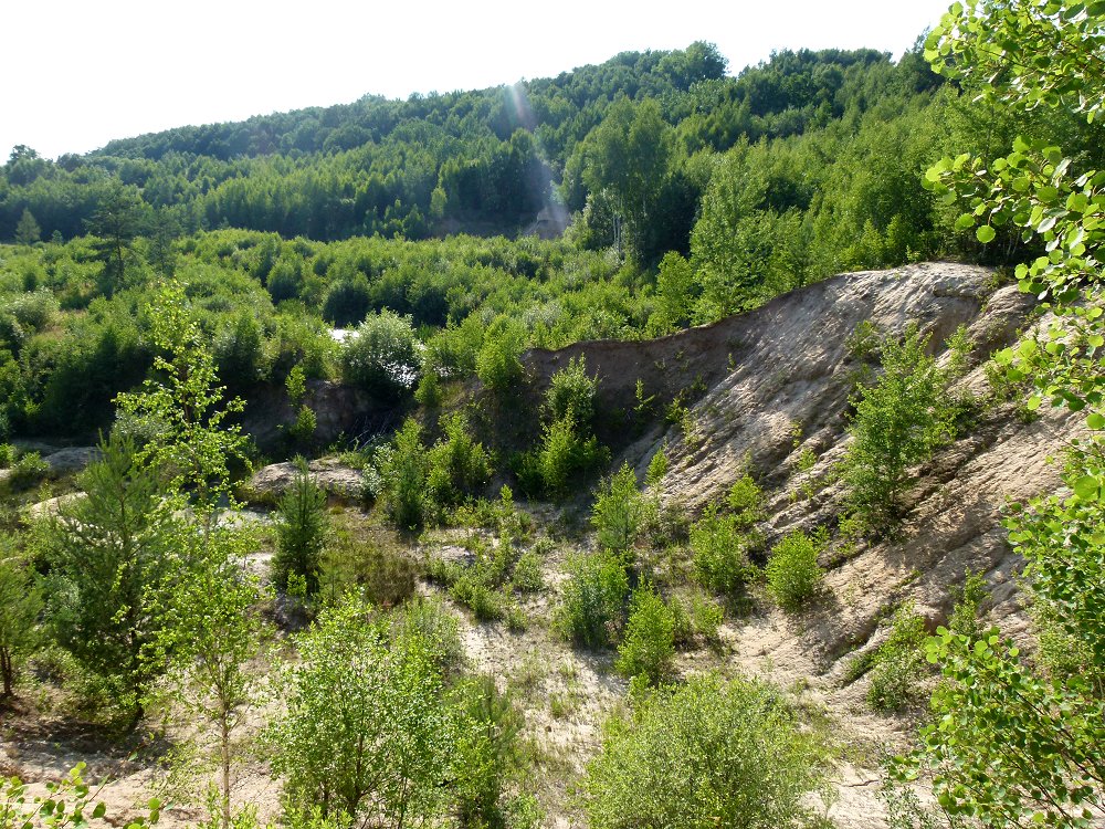 Sandgrube als Naturschutzgebiet