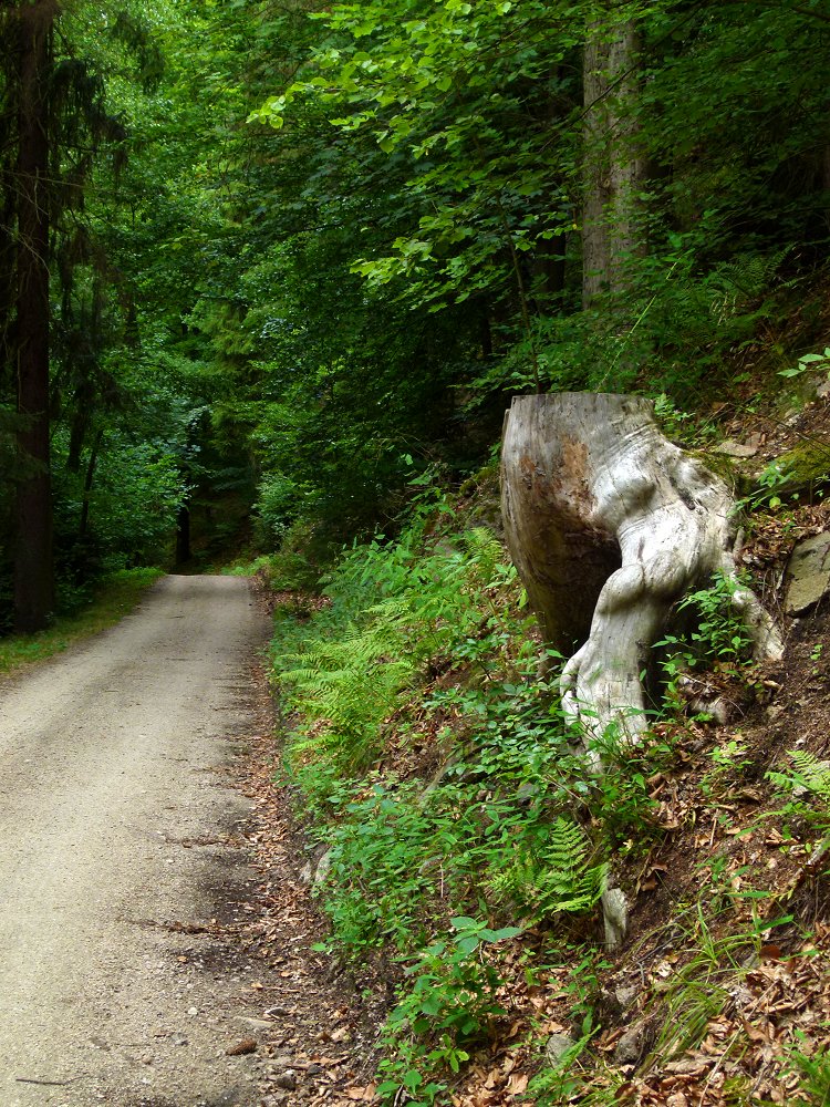 Wanderwege im tschechischen Egertal