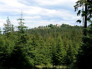 Epprechtstein mit Burgruine