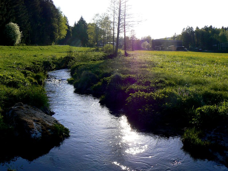 Fichtenhammer im Fichtelgebirge