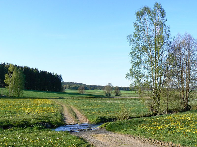 Furt durch den Lehstenbach bei Fichtenhammer