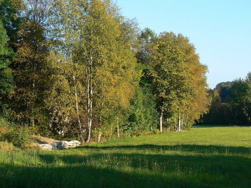 Die Lamitz bei der Fuchsmühle