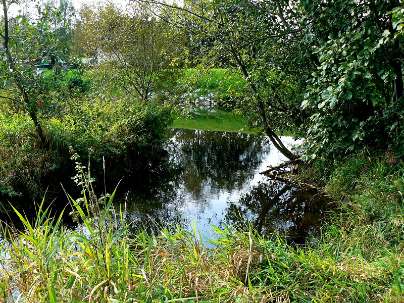 Die Lamitzmündung in die Sächsische Saale bei Fattigau