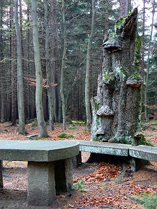 Luisentisch auf dem Epprechtstein