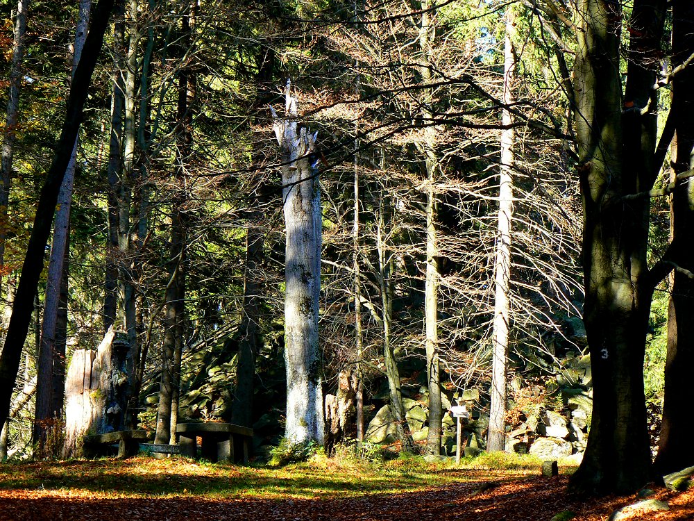 Am Luisentisch auf dem Epprechtstein