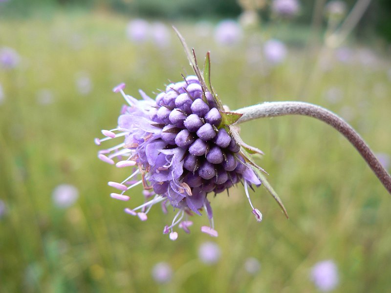 Im Naturschutzgebiet Hirschloh bei Niederlamitz