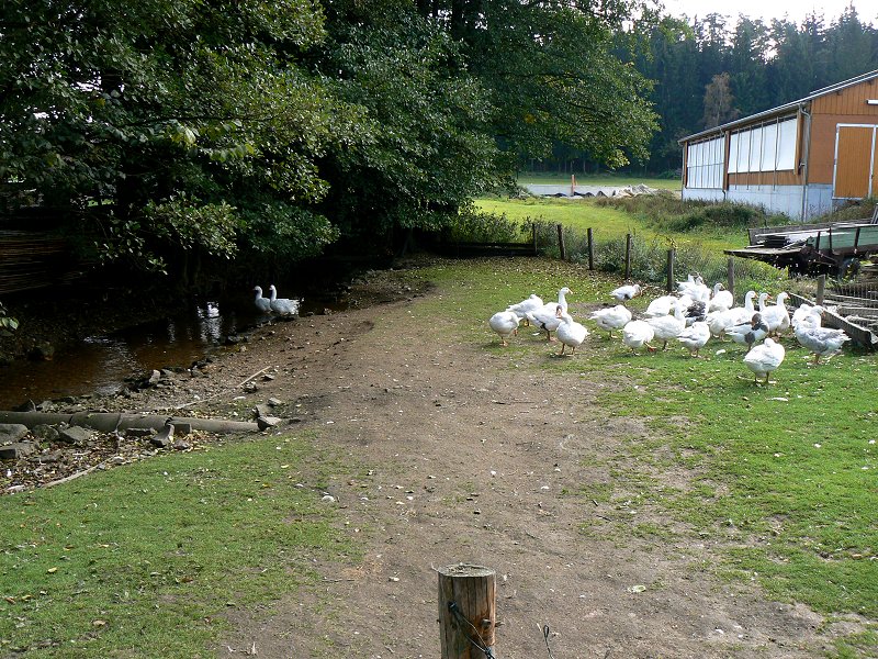 In Schnepfenmühle (Wustung) an der Lamitz