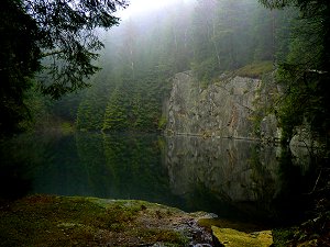 Steinbruch im Nebel