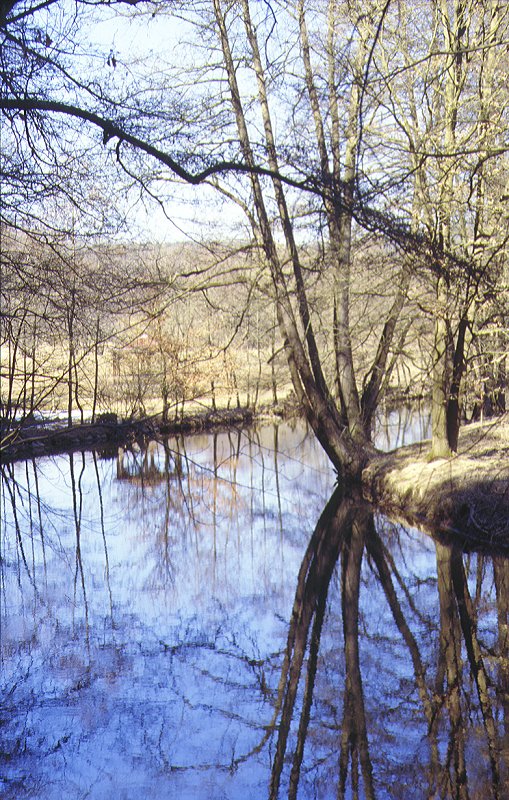 Eger an der Karolinenquelle bei Hohenberg