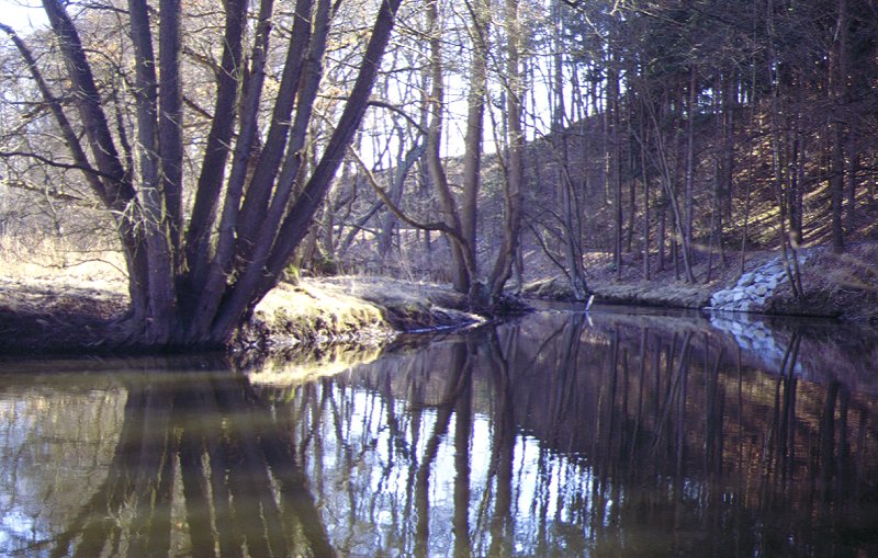 Eger bei Hohenberg