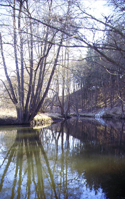 Eger bei Hohenberg