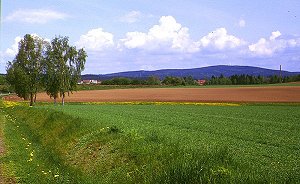Kornberg