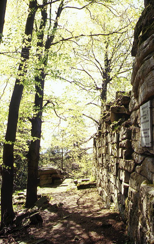 Ruine Hirschstein am Kornberg