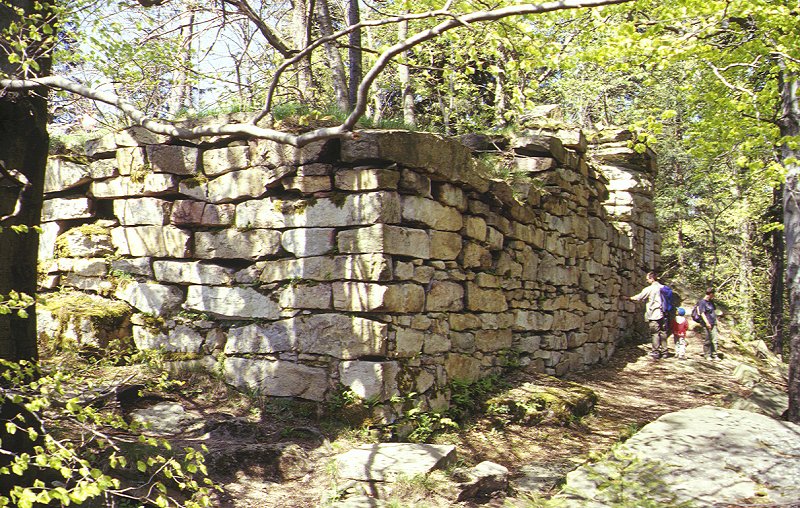 Ruine Hirschstein am Kornberg