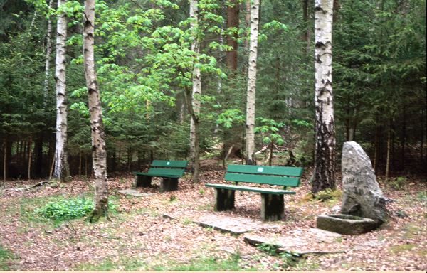 Leuthenforst - Am Bäselsbrunnen