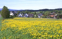 Grosswendern