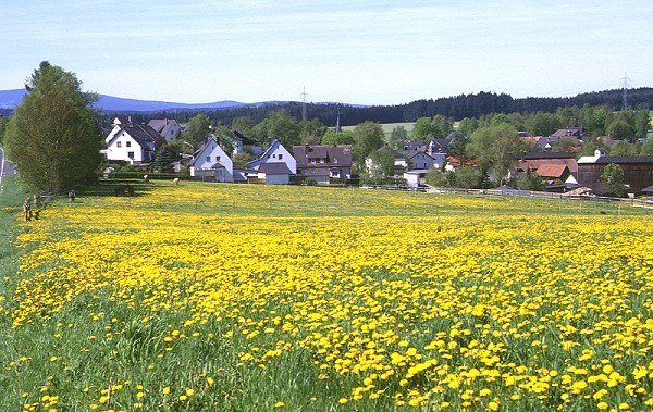 Großwendern